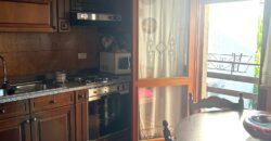 VILLETTA A SCHIERA DI TESTA CON GIARDINO
