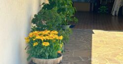 VILLETTA A SCHIERA DI TESTA CON GIARDINO