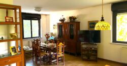SPLENDIDO BICAMERE BISERVIZI