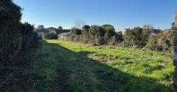 RUSTICO CON AMPIO SCOPERTO