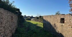 RUSTICO CON AMPIO SCOPERTO