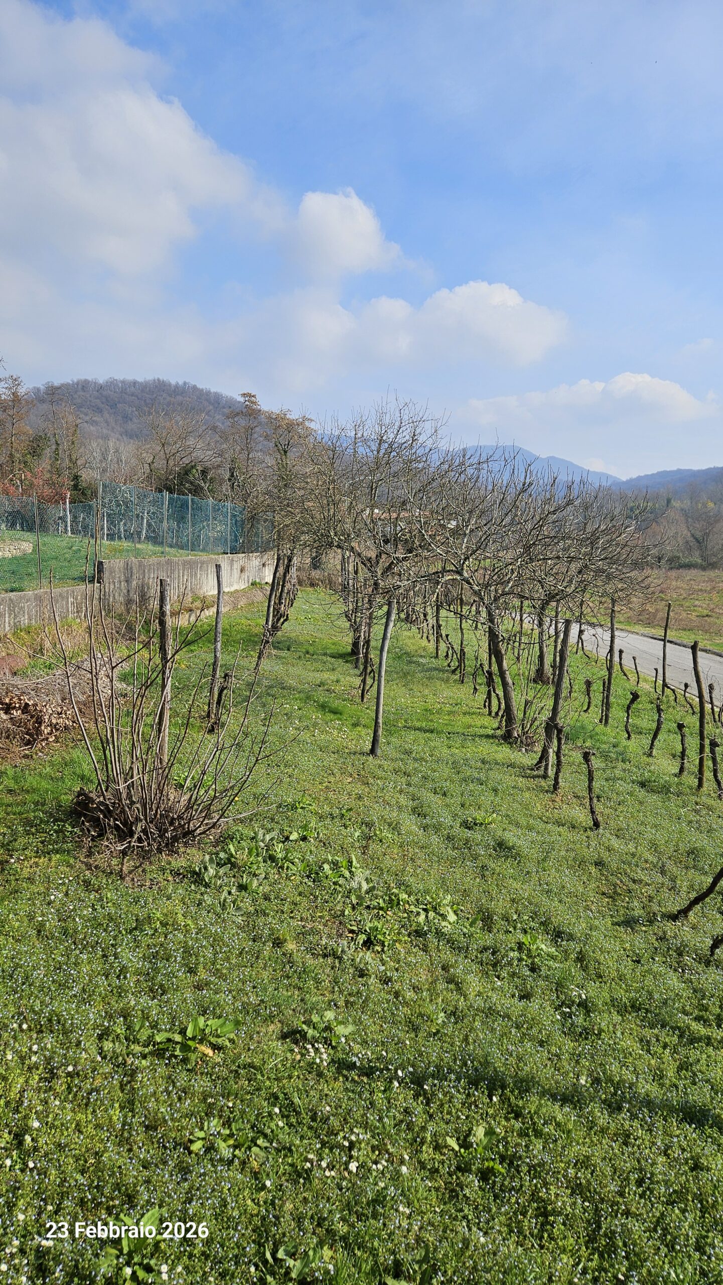 CASA INDIPENDENTE CON GIARDINO