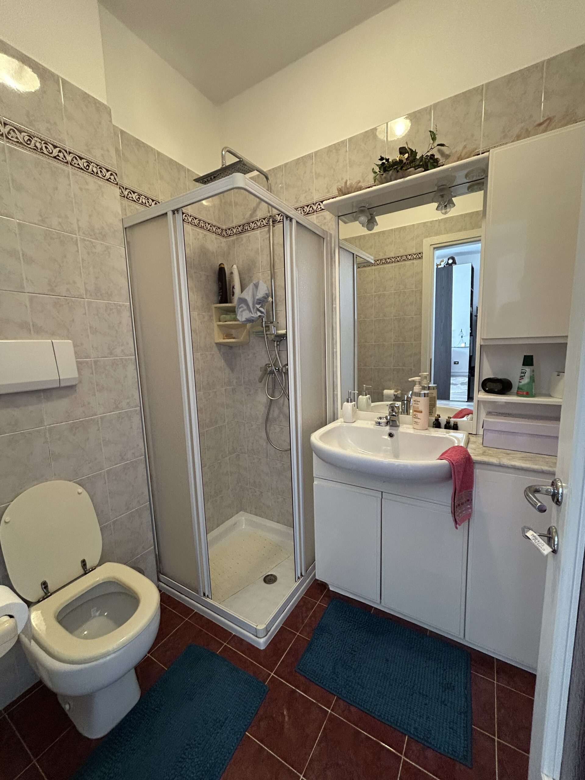 APPARTAMENTO IN BIFAMILIARE