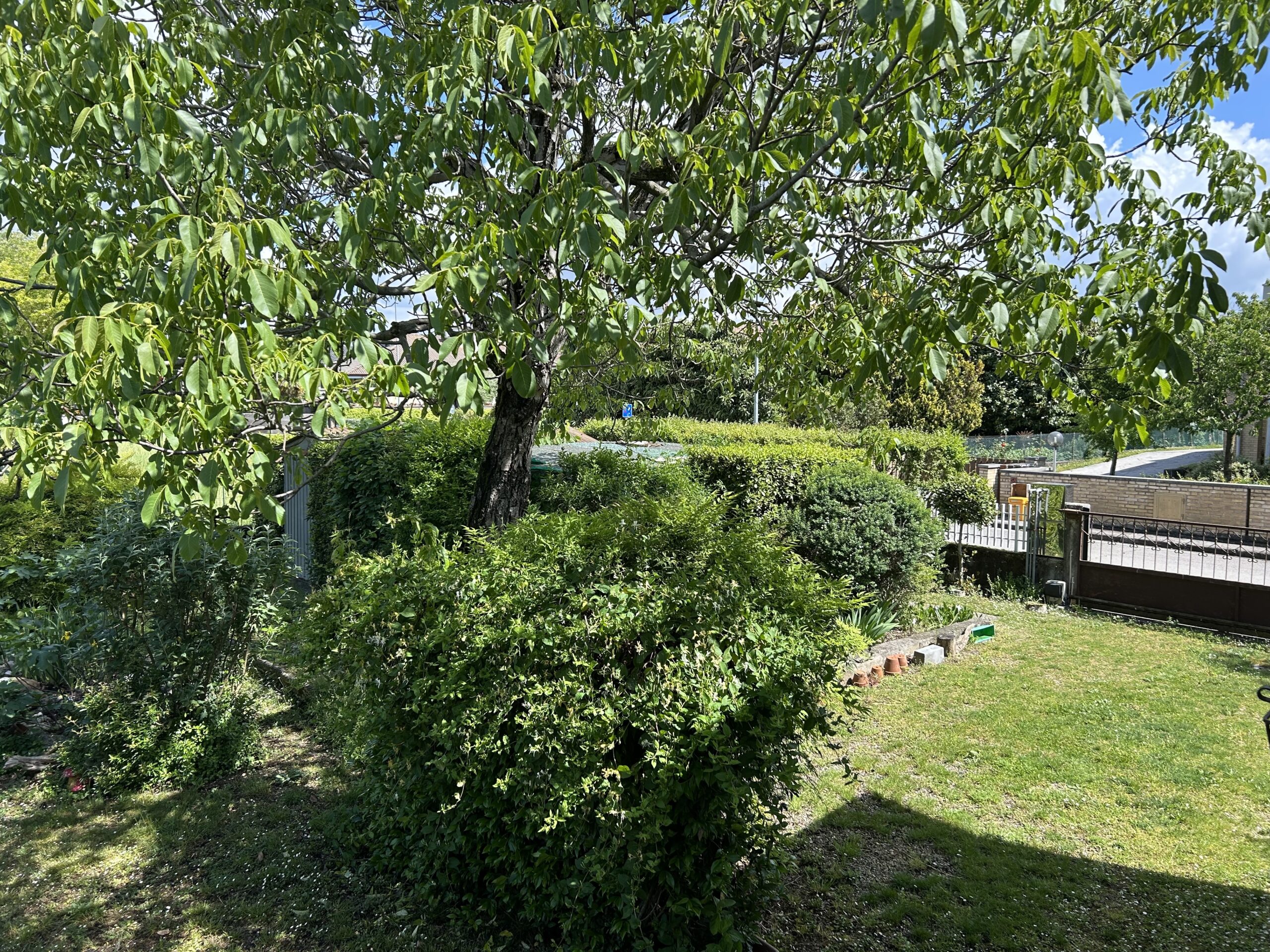 VILLA BIFAMILIARE CON GIARDINO