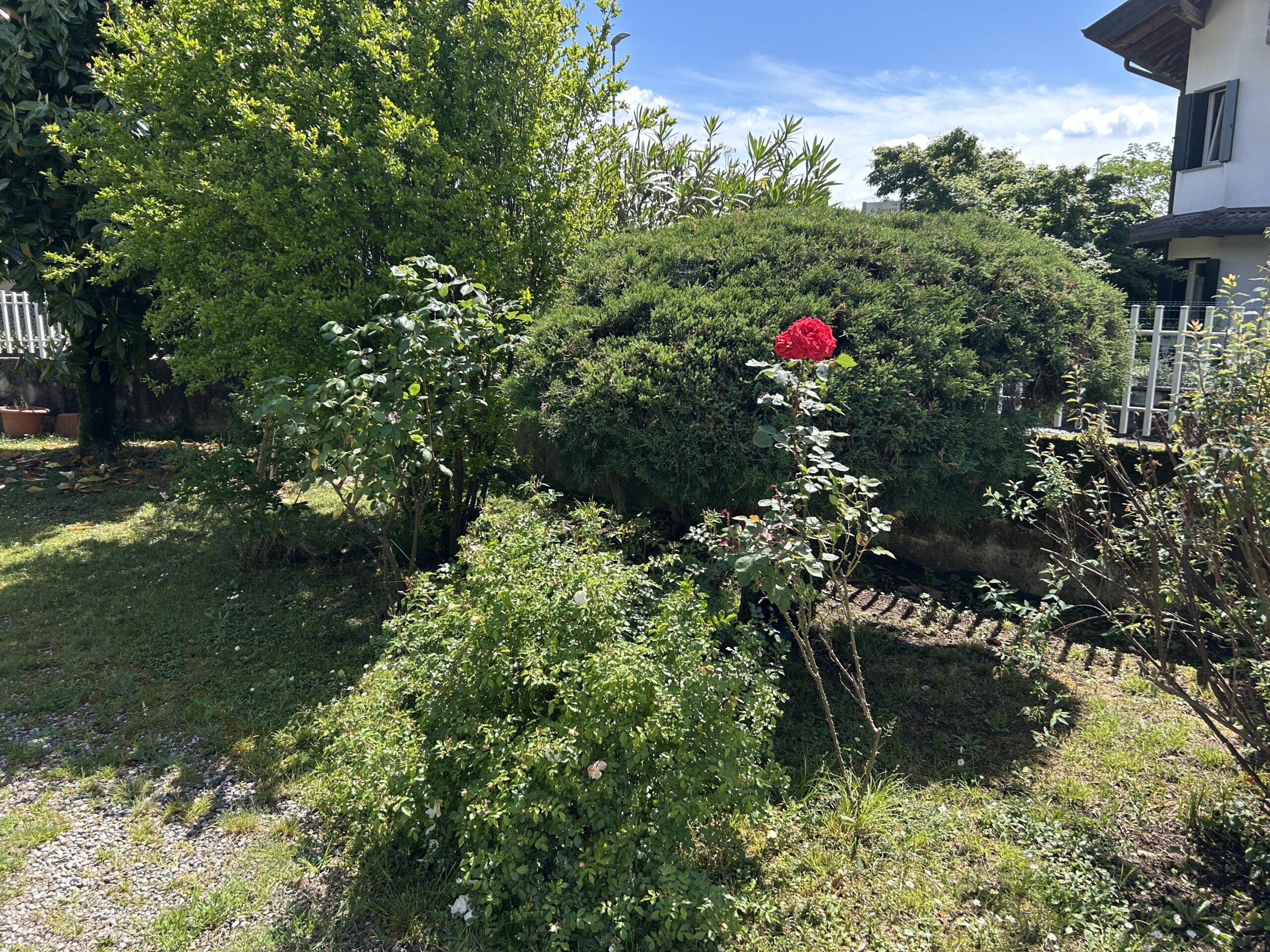 VILLA BIFAMILIARE CON GIARDINO