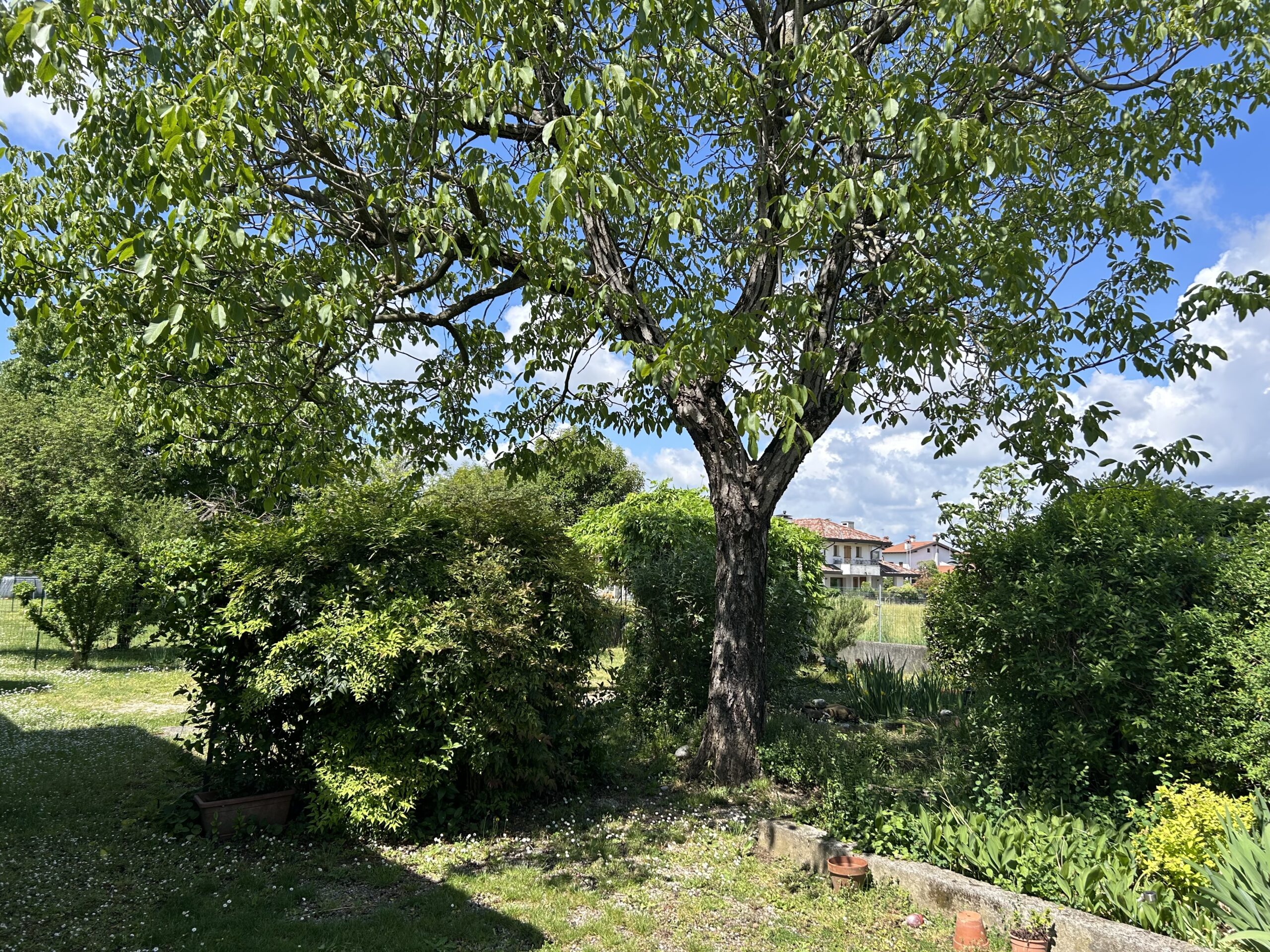 VILLA BIFAMILIARE CON GIARDINO
